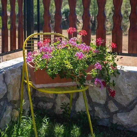 Srdasce Appartement Perkovic