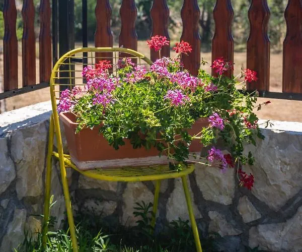 Srdasce Appartement Perkovic